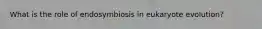 What is the role of endosymbiosis in eukaryote evolution?