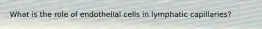 What is the role of endothelial cells in lymphatic capillaries?