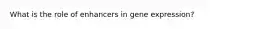 What is the role of enhancers in gene expression?