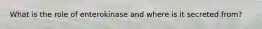 What is the role of enterokinase and where is it secreted from?