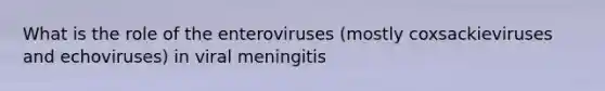 What is the role of the enteroviruses (mostly coxsackieviruses and echoviruses) in viral meningitis