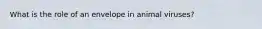 What is the role of an envelope in animal viruses?