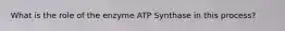 What is the role of the enzyme ATP Synthase in this process?