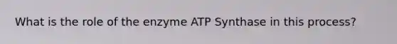 What is the role of the enzyme ATP Synthase in this process?