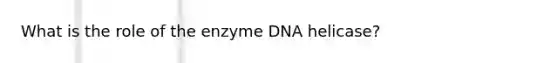 What is the role of the enzyme DNA helicase?