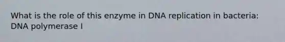 What is the role of this enzyme in DNA replication in bacteria: DNA polymerase I