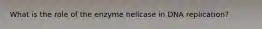 What is the role of the enzyme helicase in DNA replication?