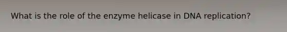 What is the role of the enzyme helicase in DNA replication?