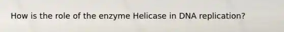 How is the role of the enzyme Helicase in DNA replication?