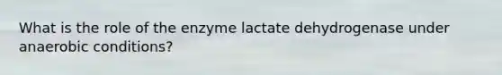 What is the role of the enzyme lactate dehydrogenase under anaerobic conditions?