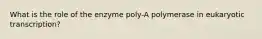 What is the role of the enzyme poly-A polymerase in eukaryotic transcription?