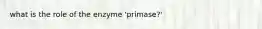 what is the role of the enzyme 'primase?'