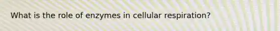 What is the role of enzymes in cellular respiration?