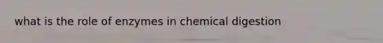 what is the role of enzymes in chemical digestion