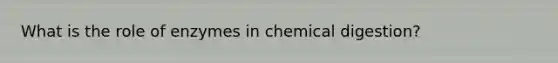 What is the role of enzymes in chemical digestion?