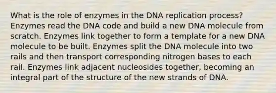 What is the role of enzymes in the DNA replication process? Enzymes read the DNA code and build a new DNA molecule from scratch. Enzymes link together to form a template for a new DNA molecule to be built. Enzymes split the DNA molecule into two rails and then transport corresponding nitrogen bases to each rail. Enzymes link adjacent nucleosides together, becoming an integral part of the structure of the new strands of DNA.