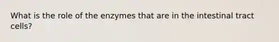 What is the role of the enzymes that are in the intestinal tract cells?