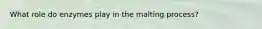 What role do enzymes play in the malting process?