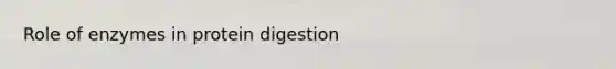 Role of enzymes in protein digestion