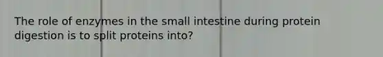 The role of enzymes in the small intestine during protein digestion is to split proteins into?