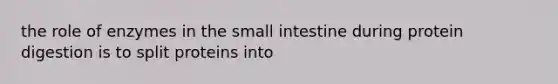 the role of enzymes in the small intestine during protein digestion is to split proteins into