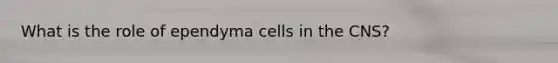 What is the role of ependyma cells in the CNS?