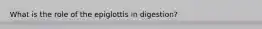 What is the role of the epiglottis in digestion?