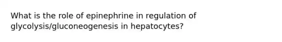 What is the role of epinephrine in regulation of glycolysis/gluconeogenesis in hepatocytes?