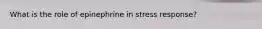 What is the role of epinephrine in stress response?