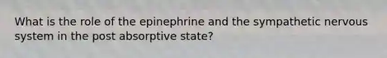 What is the role of the epinephrine and the sympathetic nervous system in the post absorptive state?