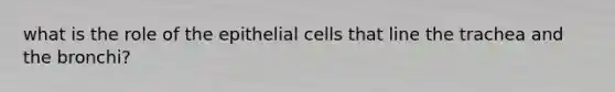 what is the role of the epithelial cells that line the trachea and the bronchi?