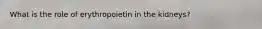What is the role of erythropoietin in the kidneys?