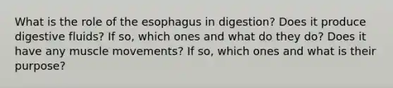 What is the role of the esophagus in digestion? Does it produce digestive fluids? If so, which ones and what do they do? Does it have any muscle movements? If so, which ones and what is their purpose?