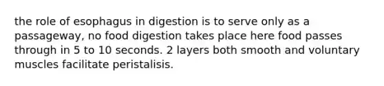 the role of esophagus in digestion is to serve only as a passageway, no food digestion takes place here food passes through in 5 to 10 seconds. 2 layers both smooth and voluntary muscles facilitate peristalisis.