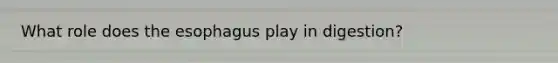 What role does the esophagus play in digestion?
