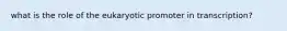 what is the role of the eukaryotic promoter in transcription?