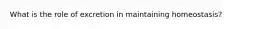 What is the role of excretion in maintaining homeostasis?