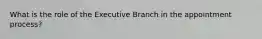 What is the role of the Executive Branch in the appointment process?