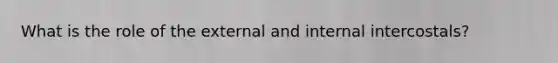 What is the role of the external and internal intercostals?