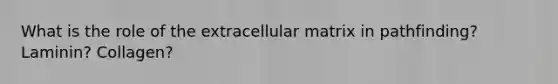 What is the role of the extracellular matrix in pathfinding? Laminin? Collagen?