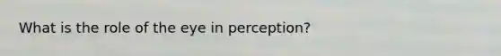 What is the role of the eye in perception?