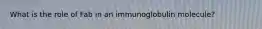 What is the role of Fab in an immunoglobulin molecule?