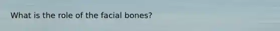 What is the role of the facial bones?