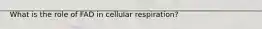 What is the role of FAD in cellular respiration?