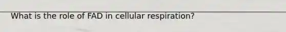 What is the role of FAD in cellular respiration?