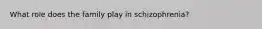 What role does the family play in schizophrenia?