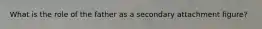 What is the role of the father as a secondary attachment figure?