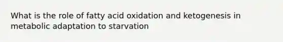 What is the role of fatty acid oxidation and ketogenesis in metabolic adaptation to starvation