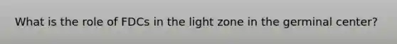 What is the role of FDCs in the light zone in the germinal center?