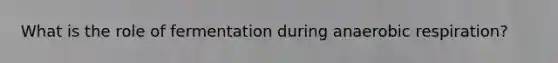 What is the role of fermentation during an<a href='https://www.questionai.com/knowledge/kyxGdbadrV-aerobic-respiration' class='anchor-knowledge'>aerobic respiration</a>?